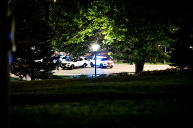 View through trees to two diagonally positioned police cars.